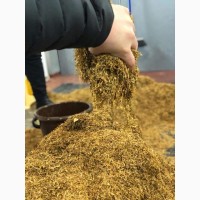Тютюн свіжий після ферментації Берлі, Дюбек, Вірджінія, Мілєніум. врожай 2022