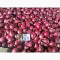 Цибуля рожева ОПТ Експорт великі об#039;єми