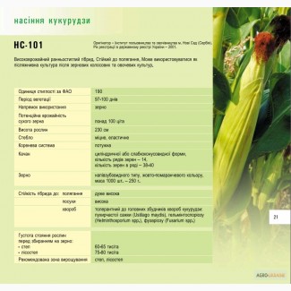 Продам посадковий матеріал кукурудзи НС-101 м.Нові Сад (Сербія)