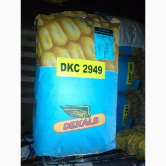 Семена кукурузы ДКС 2949