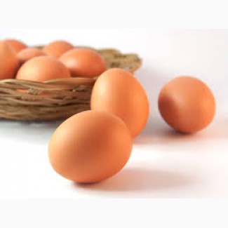 Продам Инкубационные яйцо Ломан Браун