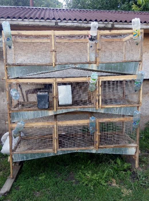 Фото 3. Продам клітки для кроликів