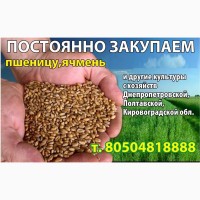 Пшеничная Мука высший сорт от производителя