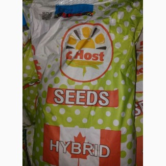 Продам гибрид кукурузи G HOST