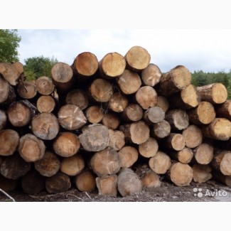 Реализуем дрова твердой породи ВЯЗ 2000 м3, доставка