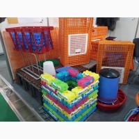 Ящики для перевозки яиц, ящики для куриных и утиных яиц, лотки для яиц