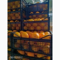 Продам апельсин (Египет)