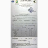 Спельта Органічна, 0.5кг, сертифікат