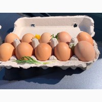 Яйцо куриное и перепелиное домашнее