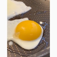 Яйцо куриное и перепелиное домашнее
