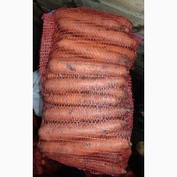 Продам морковь нантского типа