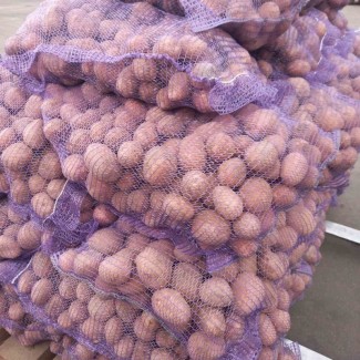 Продам товарну картоплю від виробника ФГ «Бородюк»