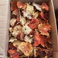 Продам сушені гриби ( Рядовки, Опеньки, Мухомори)
