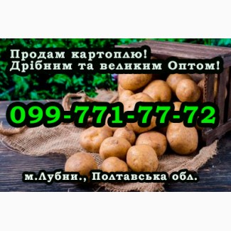 Продаю Оптом та вроздріб картоплю! Завжди в наявності понад 100т