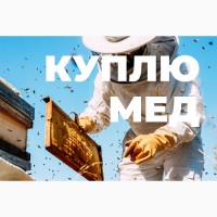 Купуємо мед ОПТОМ