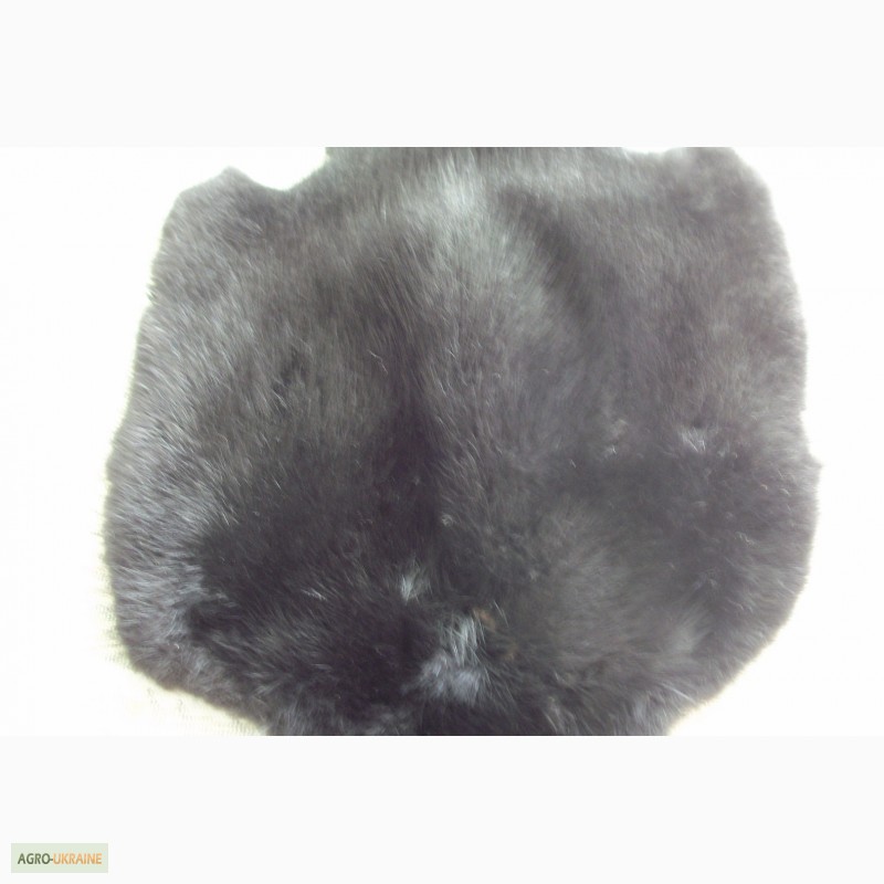 Фото 6. Продам шкурки кролика крашеные в черный цвет