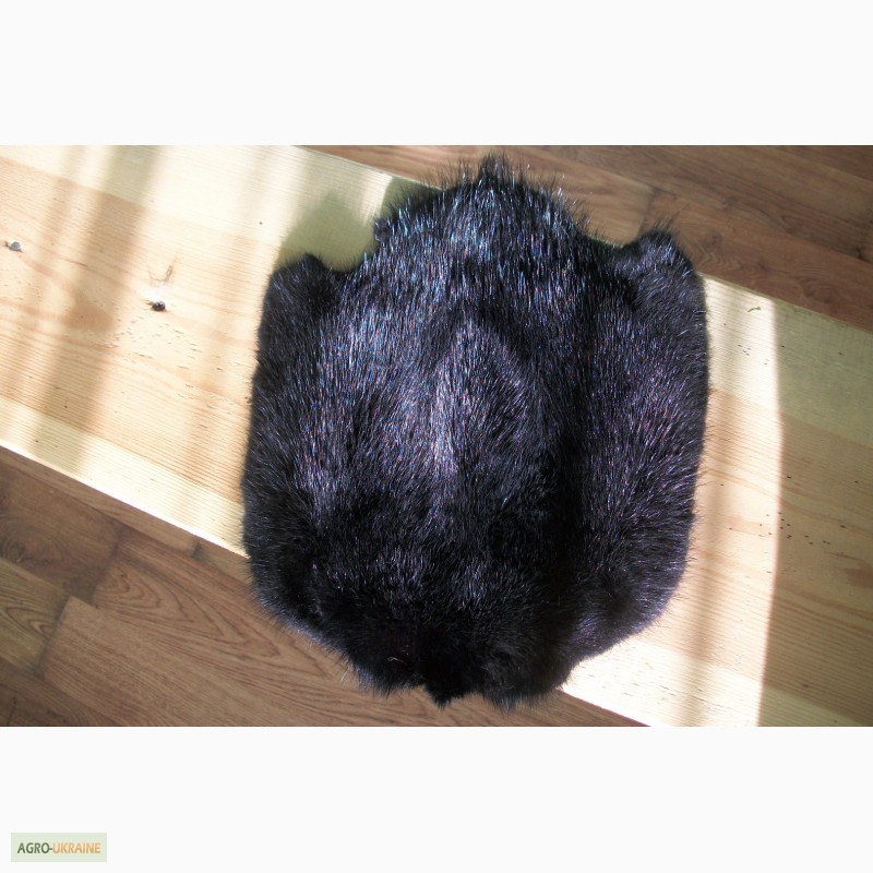 Фото 7. Продам шкурки кролика крашеные в черный цвет