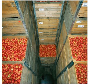 Фото 6. Фруктосховище під ключ Камера зберігання яблук, груш