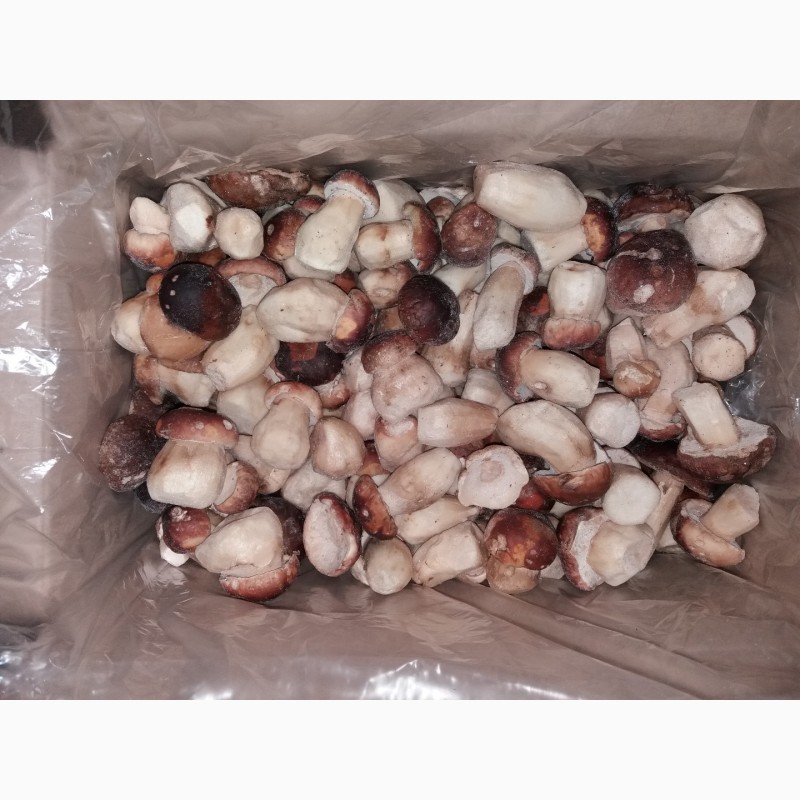 Фото 2. Продаємо гриби лісові білі, лисички, опеньки (свіжі, сушені, заморожені, мариновані)