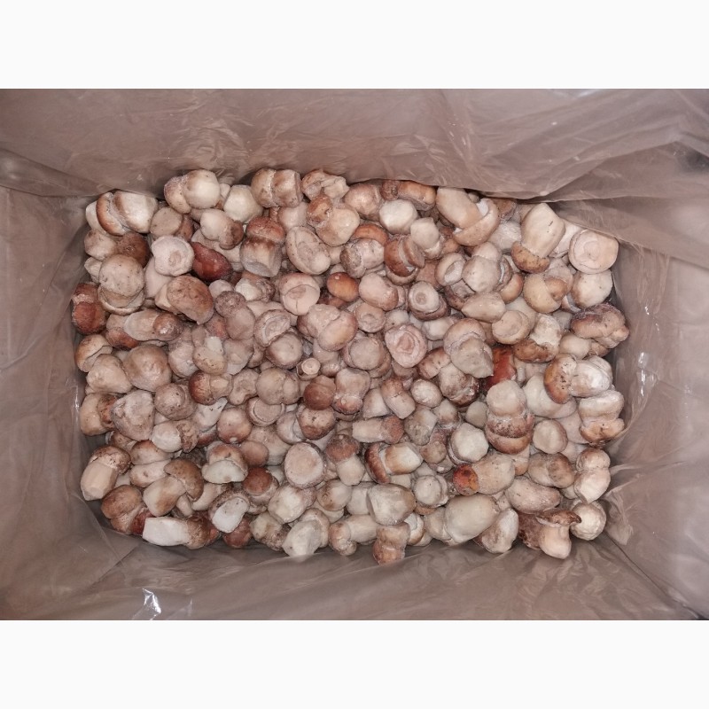 Фото 3. Продаємо гриби лісові білі, лисички, опеньки (свіжі, сушені, заморожені, мариновані)
