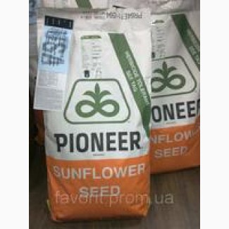 Продам посівний матеріал насіння соняшнику Пионер Е71