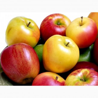 Продажа яблок в больших количествах