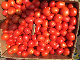 Фото 2. Продаем помидор грунтовой с поля, оптом