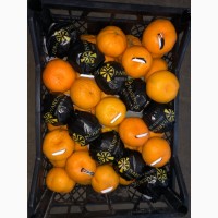 Продам цитрус в ассортименте, мандарин, апельсин, грей, гранат, лимон, Памела