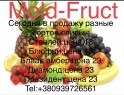 Mold-fruct